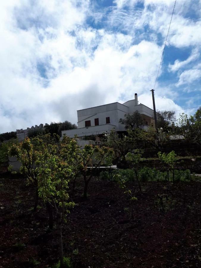 Villa Gardenia オストゥーニ エクステリア 写真